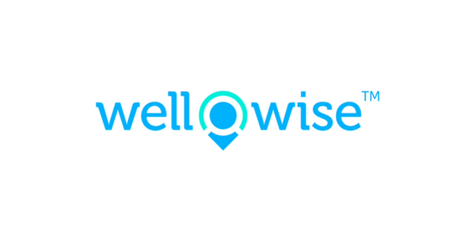 wellowise.com